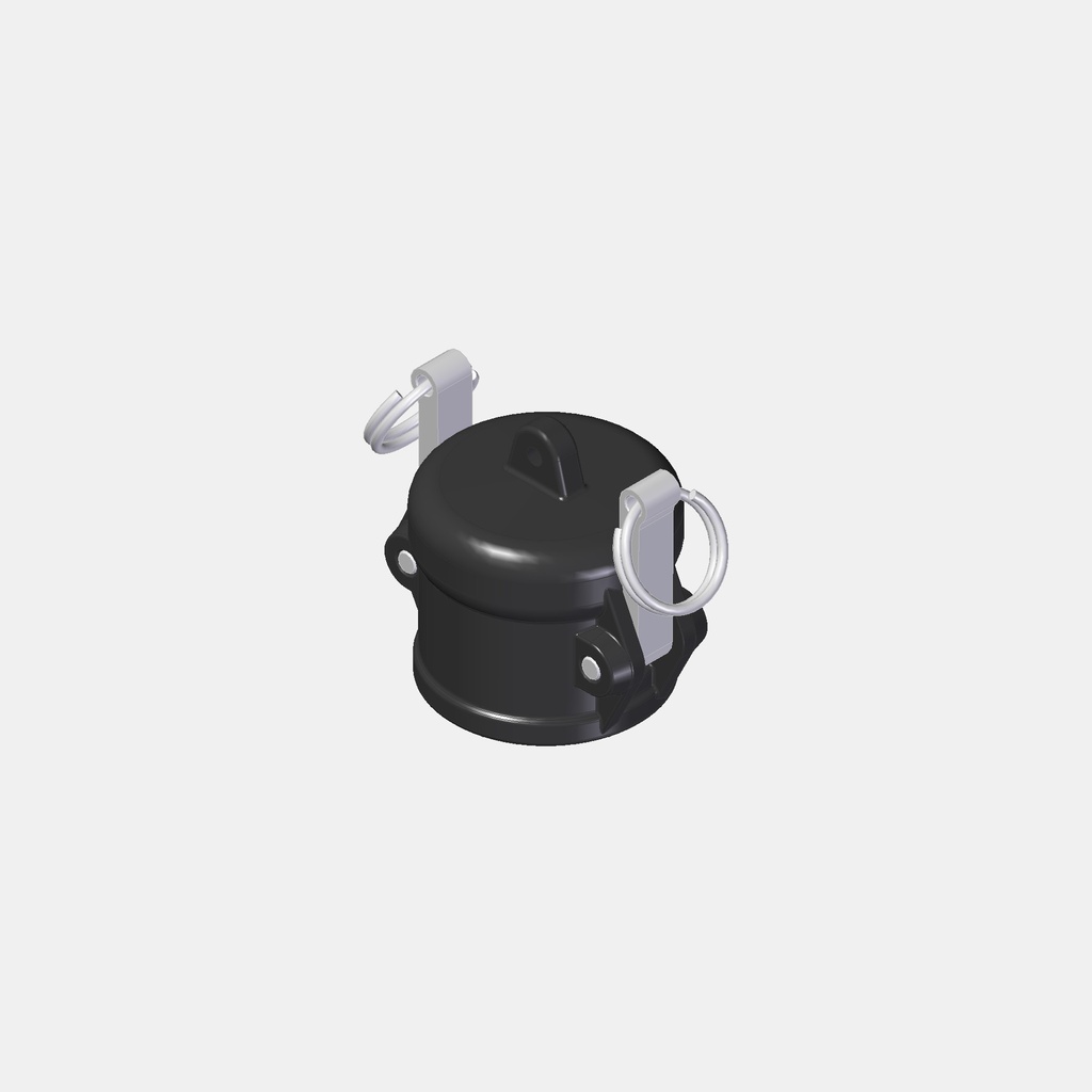 Camlock-Stopfen 1" W