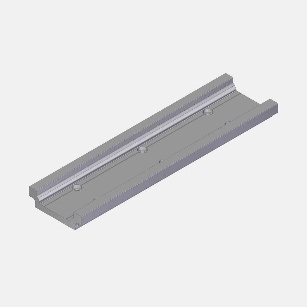 Doppelschiene WSQ-20-80 360mm