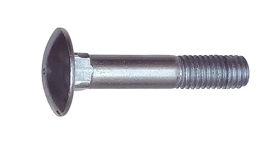 Torbandschraube